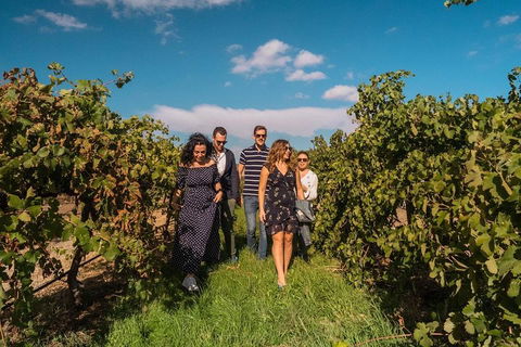 Barossa Valley Private Tour (from 2 To 11 People) - Accommodation Cairns 0