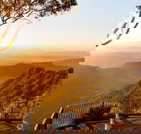 O'Reilly's  Lamington National Park incl. Alpaca Farm  Vineyard - Accommodation Cairns