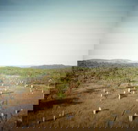 ETHICAL ADVENTURES - Litchfield Region Max 10 guests - Accommodation Cairns