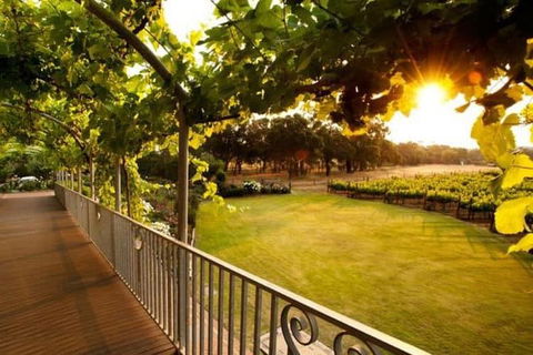 Busselton Jetty + Train Ride + Winery + Scenic Drive Full Day Tour - Accommodation Cairns 1