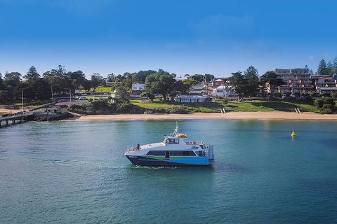 Phillip Island And French Island Wildlife Expedition - Accommodation Cairns 2