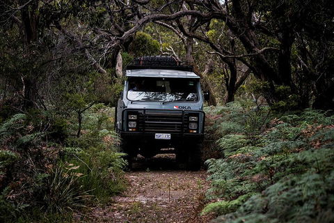 Phillip Island And French Island Wildlife Expedition - Accommodation Cairns 4