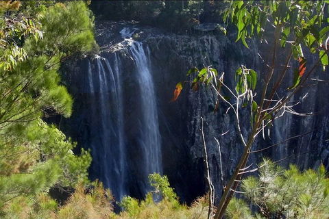 Byron Bay Hinterland Tour Including Rainforest Walk To Minyon Falls - Accommodation Cairns 0