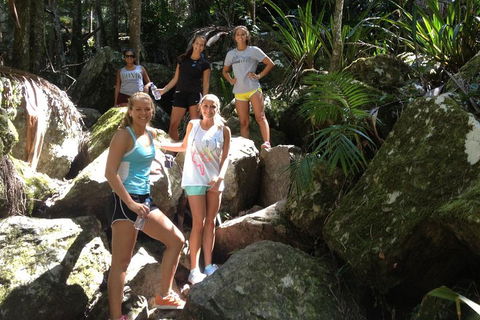 Byron Bay Hinterland Tour Including Rainforest Walk To Minyon Falls - Accommodation Cairns 3