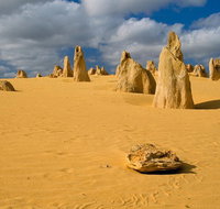 The Pinnacles Sea and Dunescapes Bush Reserve and Sunset Day Tour - Accommodation Cairns