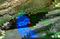 Highlights of Perth Photographic Tour