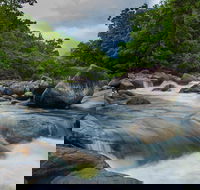 Cape Tribulation Day Tour - Accommodation Cairns