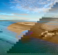 Town of 1770 Afternoon Cruise - Accommodation Cairns