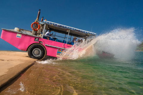 Town Of 1770 Afternoon Cruise - Accommodation Cairns 2