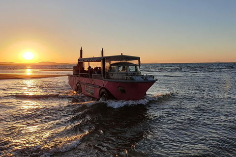 Town Of 1770 Afternoon Cruise - Accommodation Cairns 3