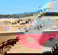 1770 Coastline Tour by LARC Amphibious Vehicle Including Picnic Lunch - Accommodation Cairns