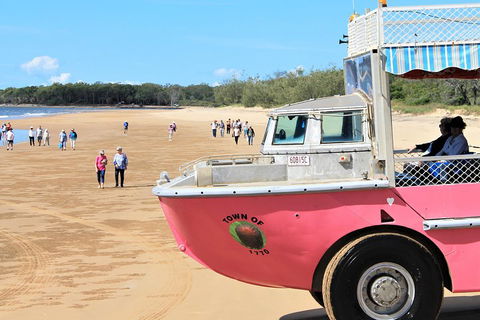 1770 Coastline Tour By LARC Amphibious Vehicle Including Picnic Lunch - Accommodation Cairns 0
