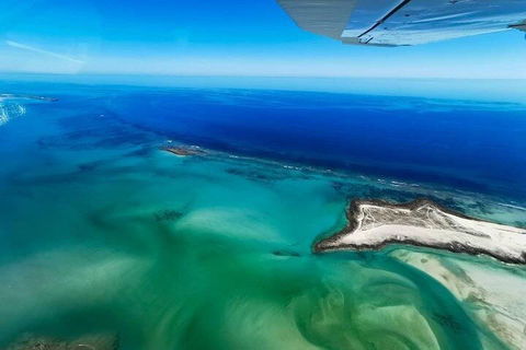 Wet Season Incredible Islands Tour - Horizontal Falls & Cygnet Bay Pearl Farm - Accommodation Cairns 4