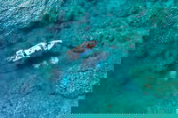 Book Viator Accommodation Vacations Accommodation Cairns Accommodation Cairns