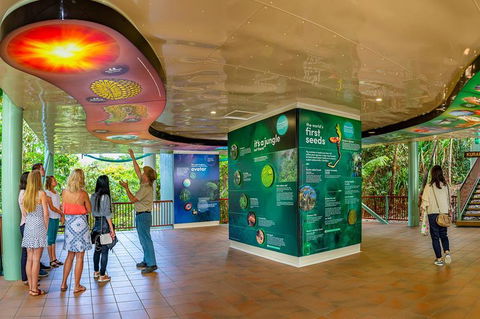 Skyrail & Kuranda Train Day Trip From Cairns - Accommodation Cairns 0