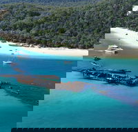 All Inclusive Tangalooma Wrecks Cruise Tour From Gold Coast - Accommodation Cairns