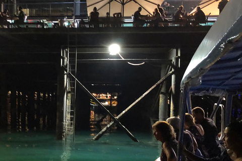 Darwin Sunset Cruise Including Fish 'n' Chips - Accommodation Cairns 0