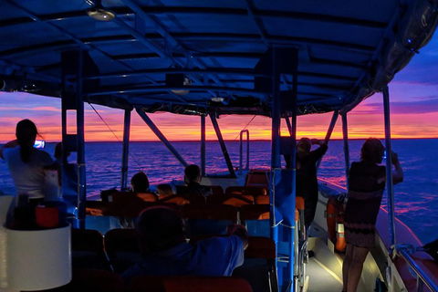 Darwin Sunset Cruise Including Fish 'n' Chips - Accommodation Cairns 1