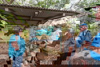 Bombing of Darwin World War II Tour with Harbour Cruise