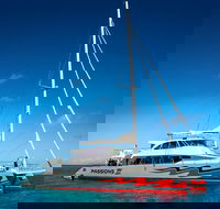 Passions of Paradise Great Barrier Reef Snorkel and Dive Cruise from Cairns by Luxury Catamaran - Accommodation Cairns