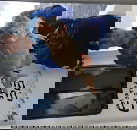 3/4 Day 7 Hour Offshore Fishing Charter - Accommodation Cairns