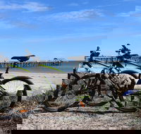 Adelaide City to Sea Bike Tour - Accommodation Cairns