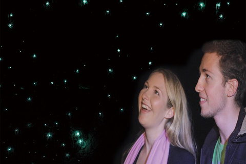 Natural Bridge Glow Worm Night Tour From Gold Coast - Accommodation Cairns 3