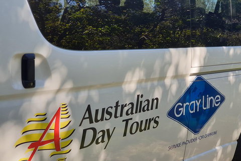 Natural Bridge Glow Worm Night Tour From Gold Coast - Accommodation Cairns 5