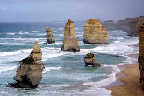 LGBT+ Friendly 2 Day Private Tour Great Ocean Road + Phillip Island - Accommodation Cairns 0