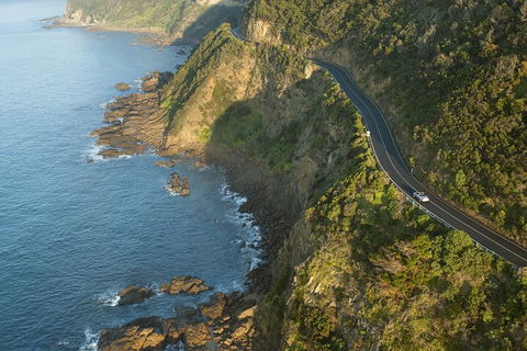 LGBT+ Friendly 2 Day Private Tour Great Ocean Road + Phillip Island - Accommodation Cairns 4