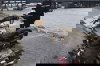 Book Viator Accommodation Vacations Accommodation Cairns Accommodation Cairns