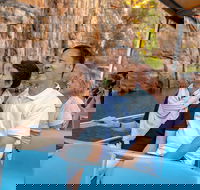 Katherine Day Tour from Darwin including Katherine Gorge Cruise - Accommodation Cairns