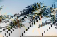 Darwin City Sightseeing Tour