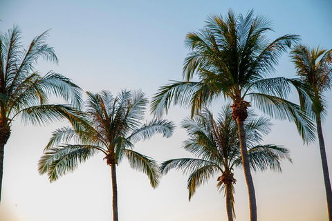 Darwin City Sightseeing Tour - Accommodation Cairns 0