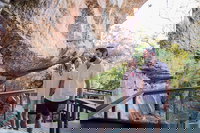 2-Day Kakadu National Park Cultural and Wildlife Tour from Darwin