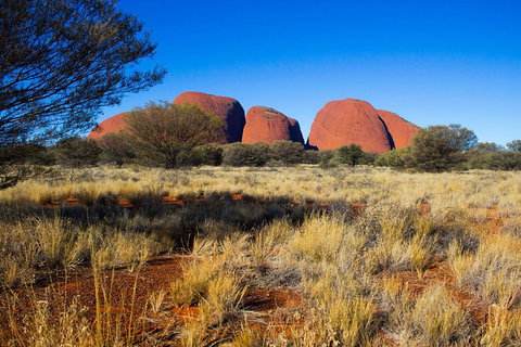 Kata Tjuta Sunrise And Valley Of The Winds Half-Day Trip - Accommodation Cairns 1