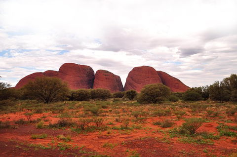 Ayers Rock Combo: Uluru Base And Sunset Plus Uluru Sunrise And Kata Tjuta With An Optional BBQ Dinner Or Kings Canyon Day Trip - Accommodation Cairns 1