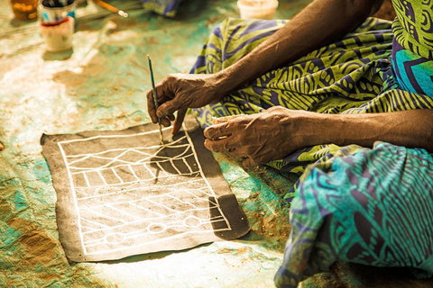 Tiwi Islands Cultural Experience From Darwin Including Ferry - Accommodation Cairns 1