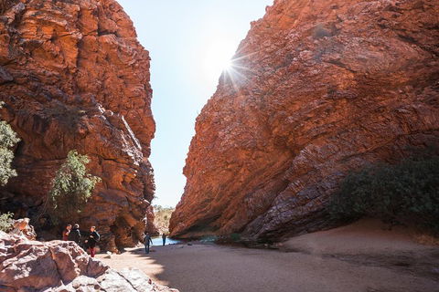 West MacDonnell Ranges- Half Day Trip From Alice Springs - Accommodation Cairns 0