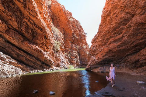 West MacDonnell Ranges- Half Day Trip From Alice Springs - Accommodation Cairns 1