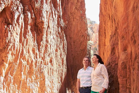 West MacDonnell Ranges- Half Day Trip From Alice Springs - Accommodation Cairns 2