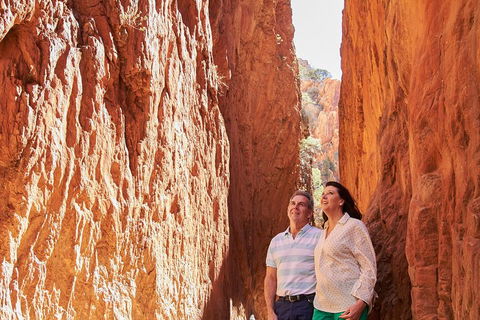 Best Of Alice Springs Full Day Tour - Accommodation Cairns 4