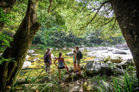 Private Daintree Mossman Gorge Exclusive Nature And Wildlife Focus - Accommodation Cairns 5