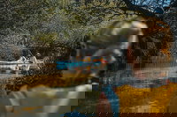 Kayak Tour in Adelaide Dolphin Sanctuary