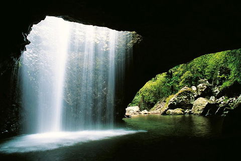 Natural Bridge & Springbrook Waterfalls Tour - Accommodation Cairns 0