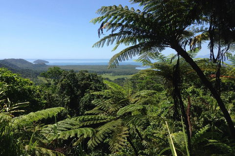 Daintree And Cape Tribulation Full Day Guided Tour - Accommodation Cairns 2