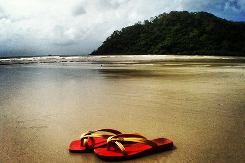 Daintree And Cape Tribulation Full Day Guided Tour - Accommodation Cairns 4