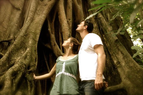 Daintree And Cape Tribulation Full Day Guided Tour - Accommodation Cairns 5