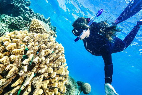 Green Island Day Trip From Cairns - Accommodation Cairns 1