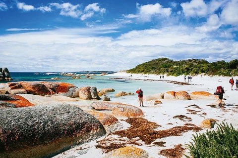 Wineglass Bay Private Charter Service - Accommodation Cairns 3